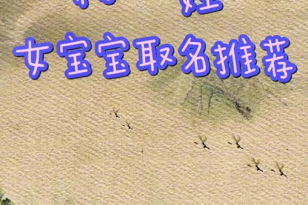 出生姓杨的宝宝起名参考与建议
