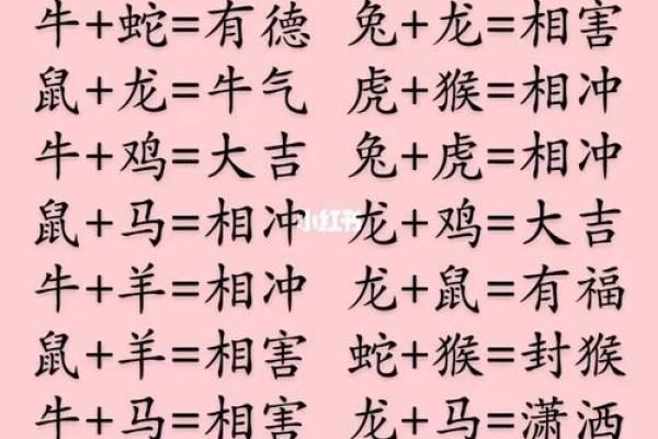 肖婚姻最佳配对揭秘：哪些生肖组合最适合白头偕老