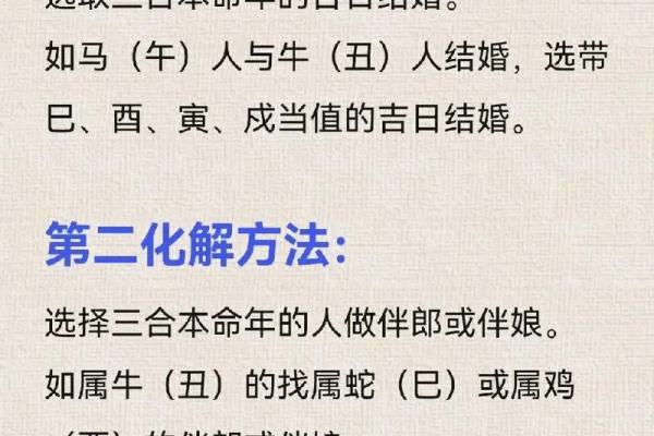 年命解析：了解每个人与年份的独特关系