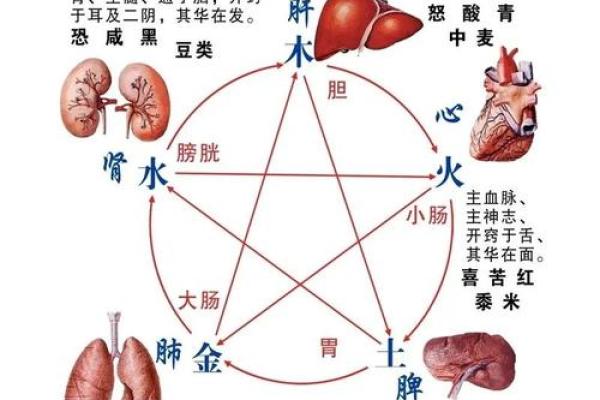 探究命格的五行与运势