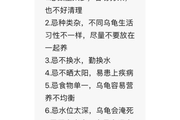 乌龟在厕所摆放的风水利弊分析