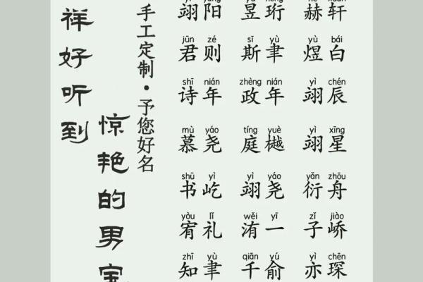 鸡年男宝宝名字大全:寓意聪明和幸运的名字推荐 鸡年男宝宝名字大全:寓意聪明和幸运的名字推荐