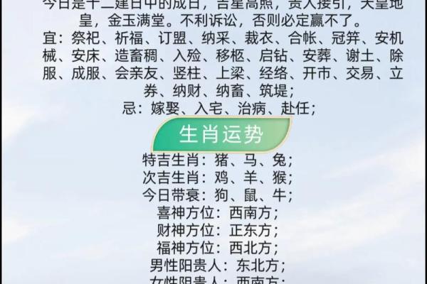 从投币中预测运势，轻松了解未来走势