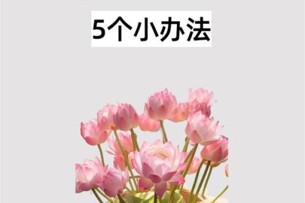 解密风水：掌握古老智慧带来全方位的好运