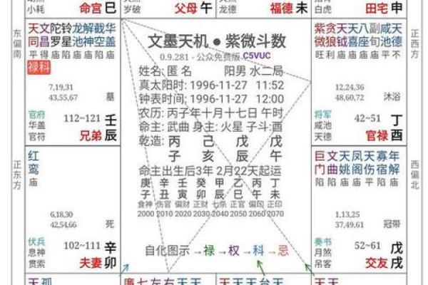 如何利用免费八字排盘软件进行命运分析