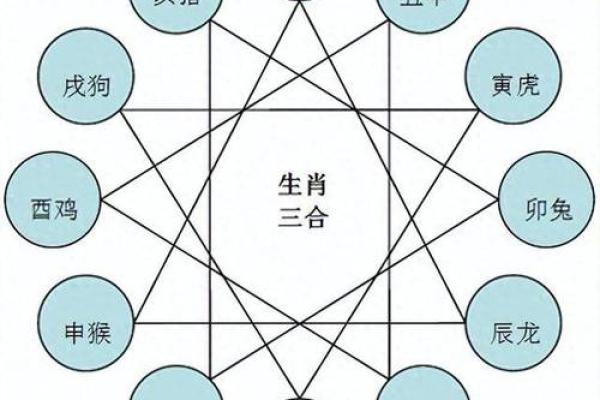 属相配对深度解析：哪些生肖最合适携手同行