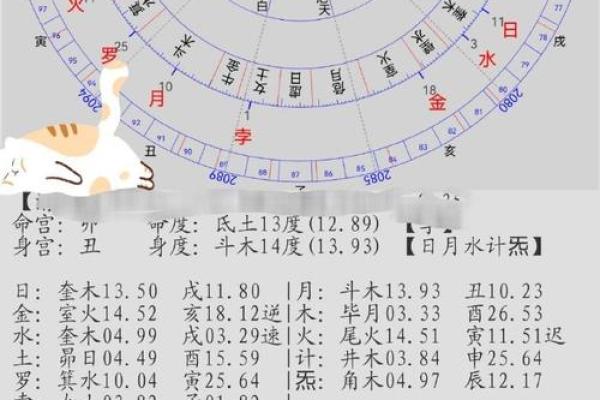 胎命身的定义与解读：从命理角度解析人生起点