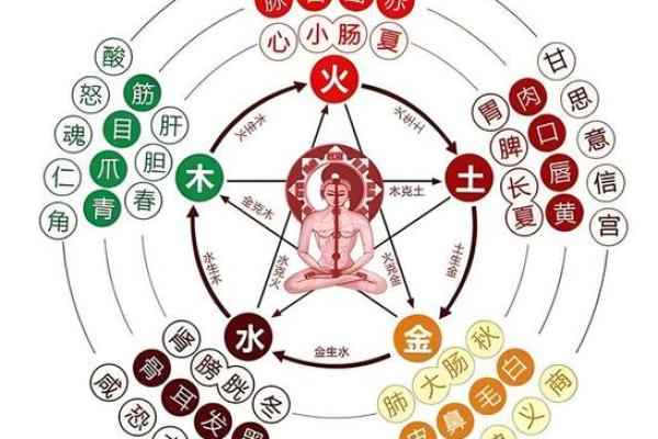 命理缺水的含义及其对个人运势的影响解析