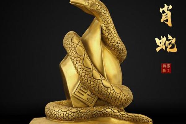 属蛇人士办公室风水布局对事业运的影响