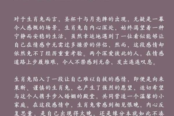 属兔命运的吉凶与人生运势揭秘