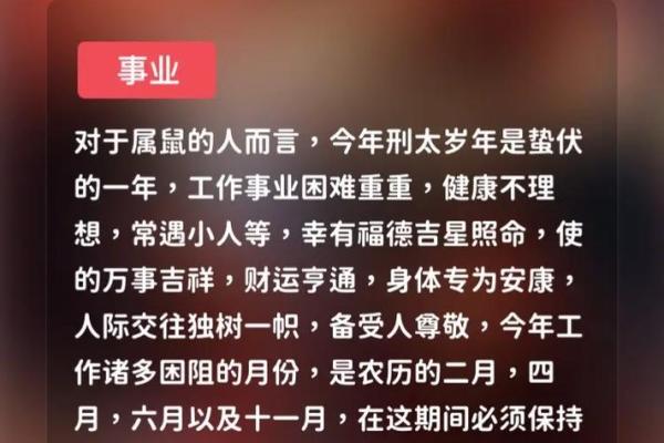 属兔命运的吉凶与人生运势揭秘