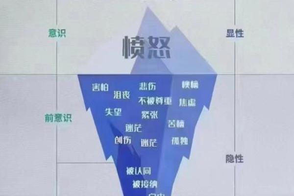 四库命与个人命运走向的关系分析