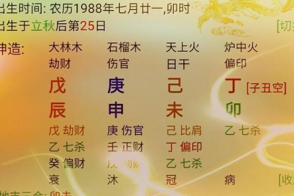 四库命与个人命运走向的关系分析