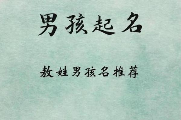 虎宝宝名字大全：为宝宝赋予勇气与智慧的名字