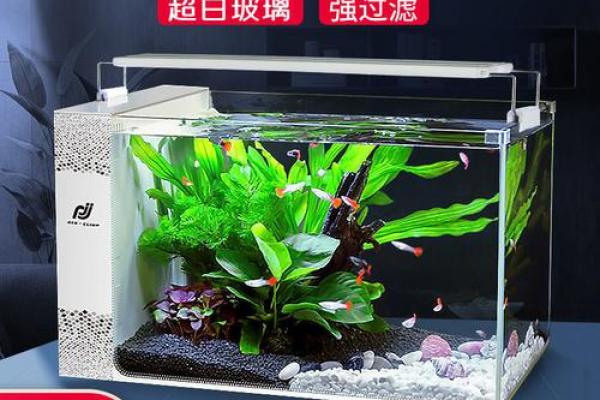 定做鱼缸如何提升家居风水运势