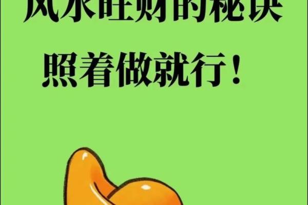 探索风水的奥秘：提升生活与事业运势的智慧