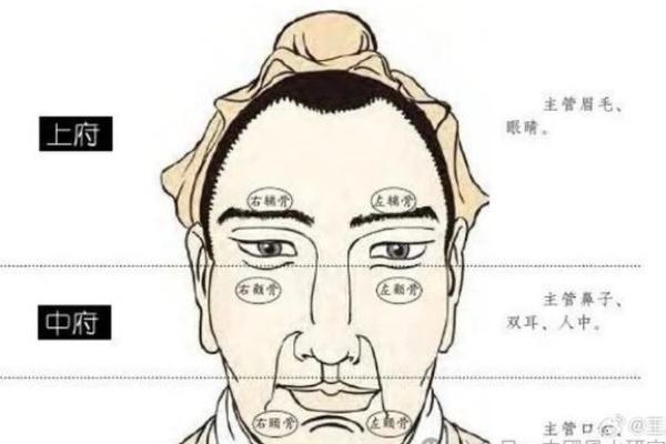 从男人八字眉看性格与运势变化