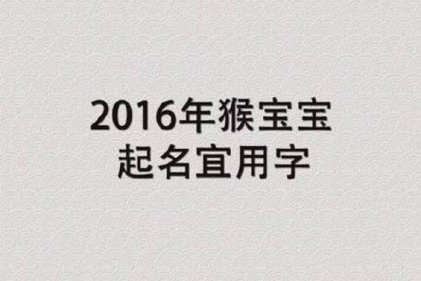 猴宝宝起名免费指南，精选名字推荐