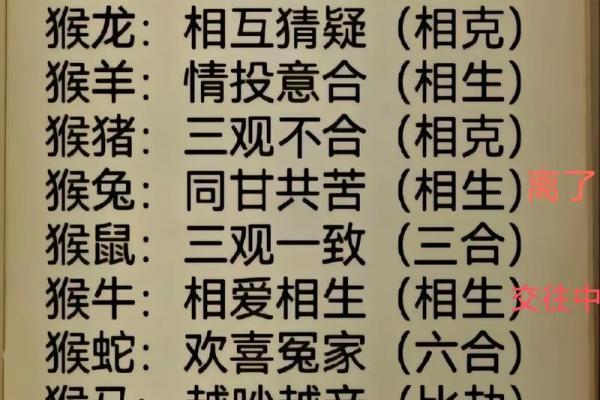 出生属什么命 解读属猴人的命运特点与运势分析