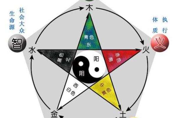 萱草在五行中的属性解析 萱草在五行中的属性解析