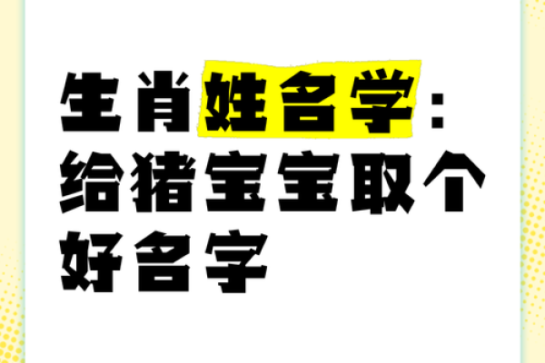 猪年出生的宝宝起名建议：避开这些误区