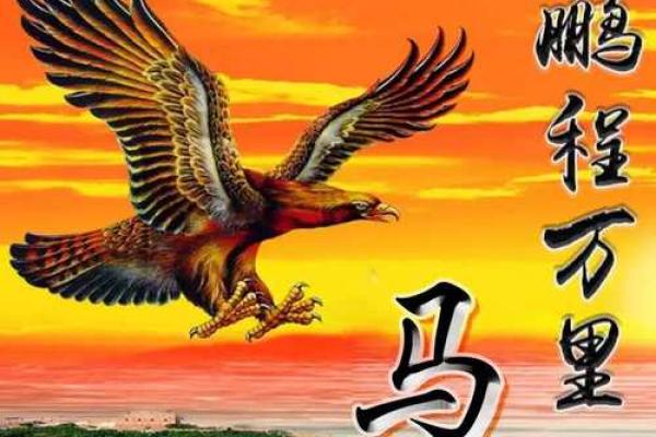 带马的微信名字：彰显个性与力量的创意选择