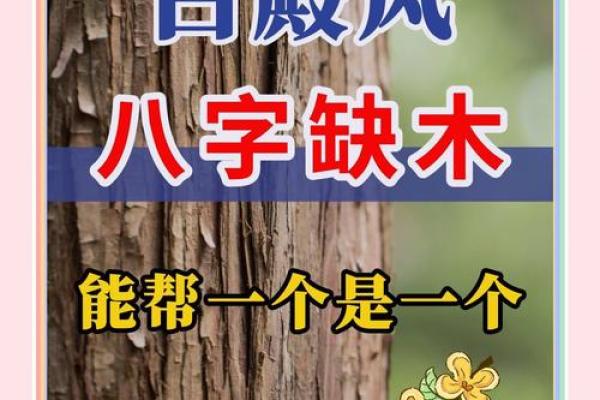 八字缺木的影响与调理方法解析