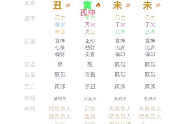 岁命的含义及其在命理学中的重要性解析