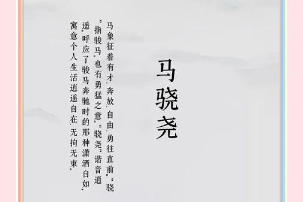 为马宝宝挑选名字的创意指南