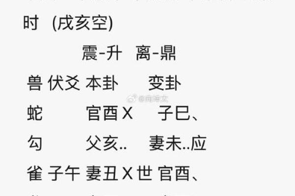三金命的概念与特点解析