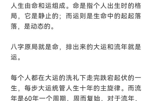 命与运的关系：我们能掌控多少