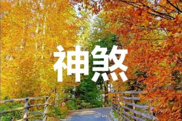 双甲命解析：命理中的力量与挑战