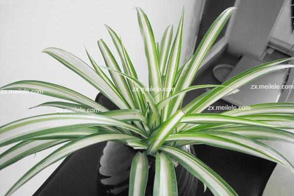 通过风水课程实现事业家庭双丰收 通过风水课程实现事业家庭双丰收