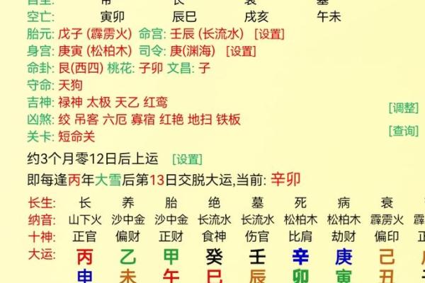 假纯阳命的命理学意义与应对策略