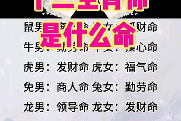 属什么生肖与命运解析