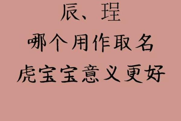 探索辰字男孩名字的美好寓意