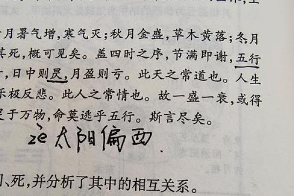土猪之命：从五行八字看其人生轨迹
