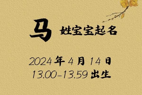 如何为你的马宝宝起个既独特又有意义的名字