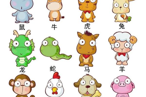 属什么生肖及其特点