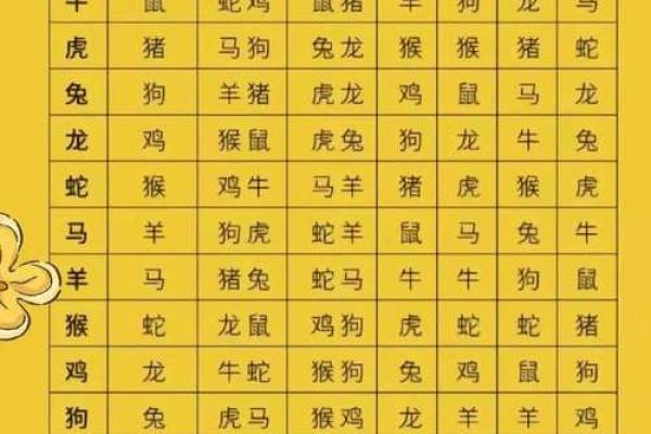 属什么生肖及其特点