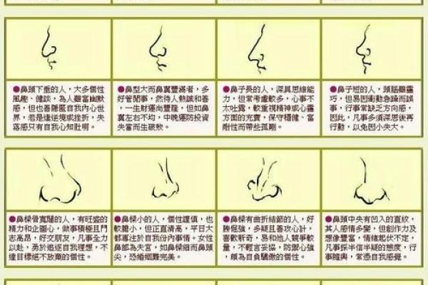 五官美与面部风水：如何通过面相提升个人魅力