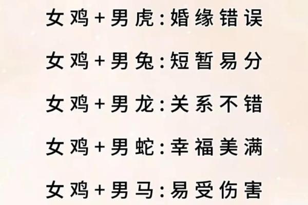 十二生肖爱情配对表，解锁完美情侣的秘密