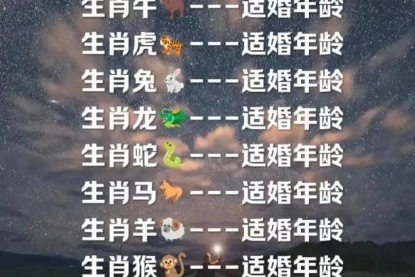 十二生肖爱情配对表，解锁完美情侣的秘密