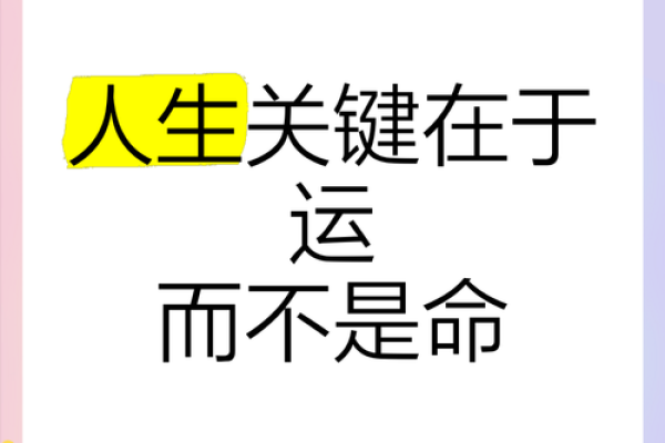 命与运：天注定还是自我选择