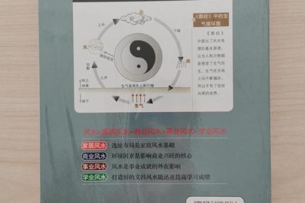打造和谐办公环境的风水要点