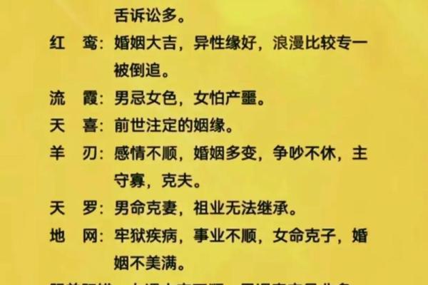 中国八字大师解析命运与人生之道