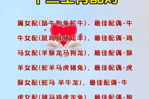 肖配对分析：最佳姻缘搭配揭秘