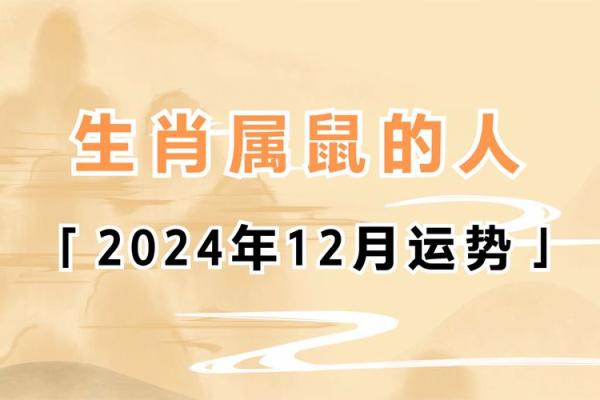 属鼠人的命运解析与人生特点