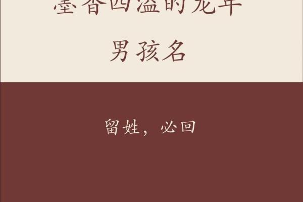 男宝宝起名字大全:寓意与音韵的完美结合 男宝宝起名字大全:寓意与音韵的完美结合