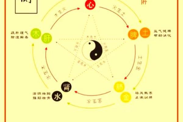 火命与水命的区别与命理解析